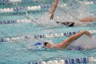 Swimming & Diving vs Babson  Swimming & Diving vs Babson College. - Photo by Keith Nordstrom : Wheaton, Swimming